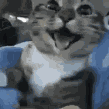 Happy GIF