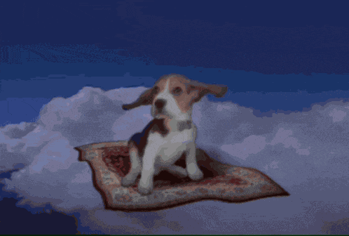 Happy Flying Dog GIF