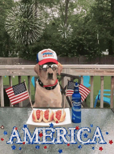 Happy Fourth Of July Fireworks GIF