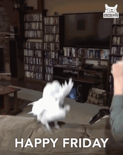 Happy Friday Excited GIF