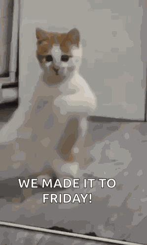 Happy Friday GIF