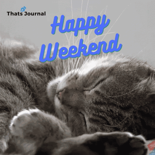 Happy Friday Friyay GIF