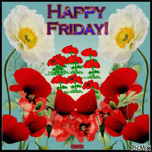 Happy Friday GIF