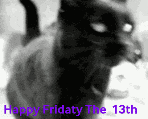 Happy Friday The 13th Meow GIF