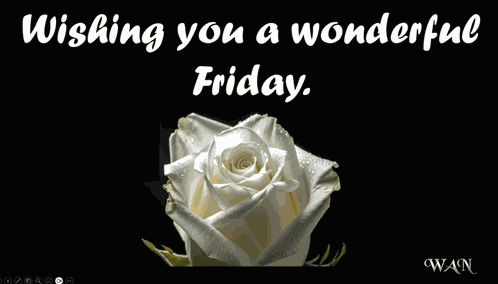Happy Friday Wnowlin GIF