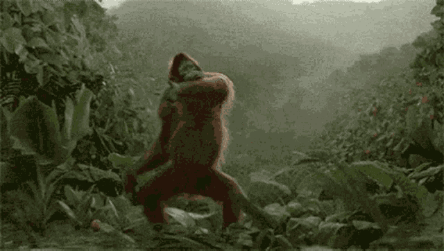 Happy Gorilla GIF