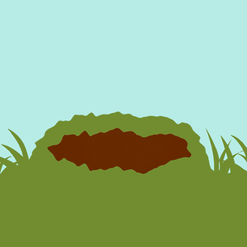 Happy Groundhog Day February 2 GIF