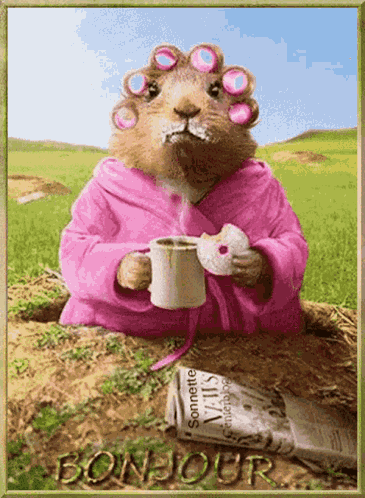 Happy Groundhog Day GIF