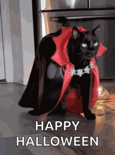 Happy Halloween 2023 GIF