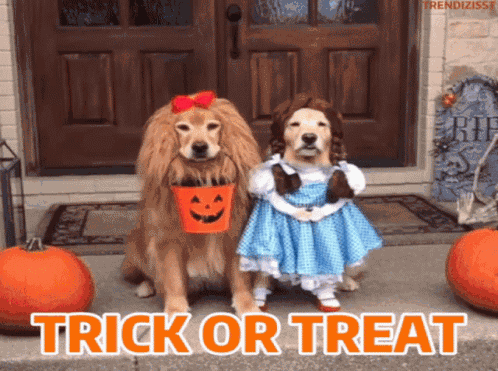 Happy Halloween Eve GIF