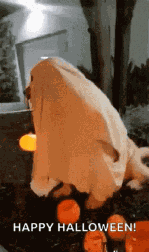 Happy Halloween GIF