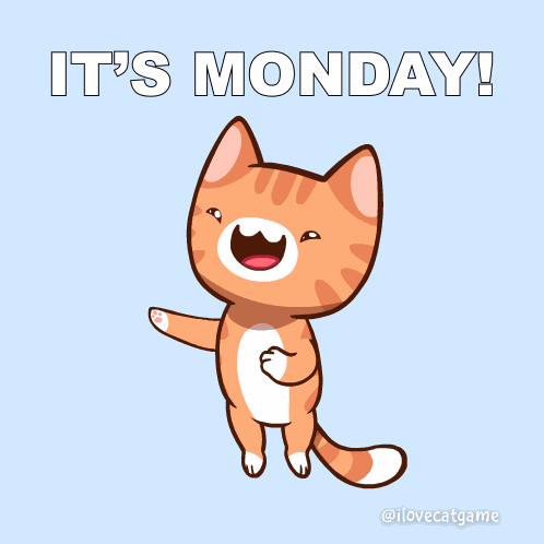 Happy Happy Cat GIF