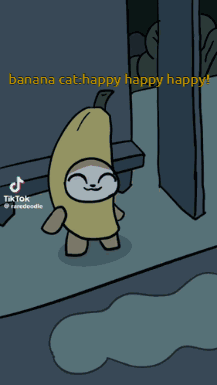 Happy Happy Happy Cat Banana Acident From Car Splashing Water GIF