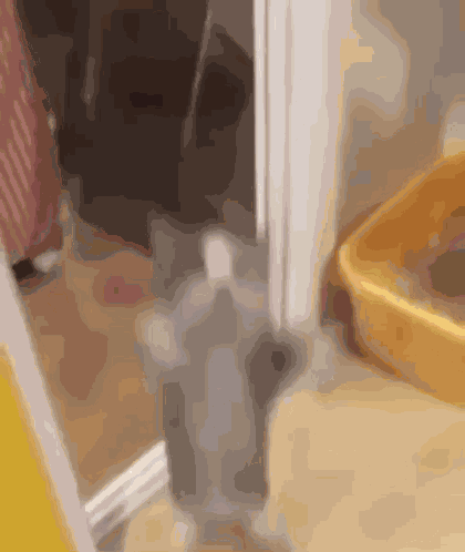 Happy Happy Happy Happy GIF