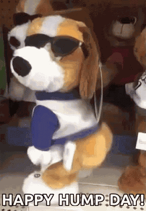 Happy Hump Day GIF
