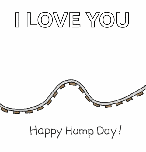 Happy Hump Day Gif GIF