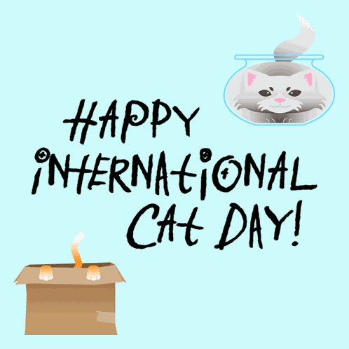 Happy International Cat Day Feline Friends GIF