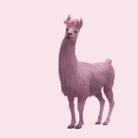 Happy Lama GIF