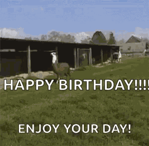 Happy Llamas GIF