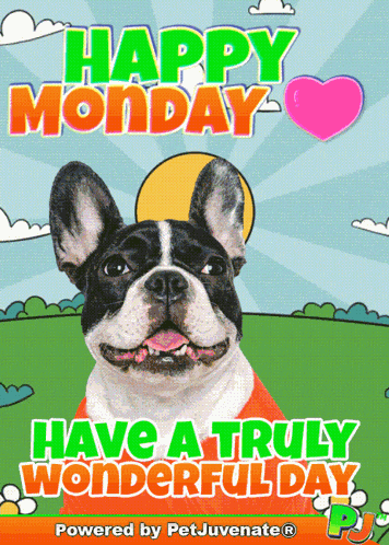 Happy Monday Good Morning Monday GIF