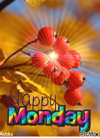 Happy Monday GIF