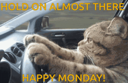 Happy Monday GIF