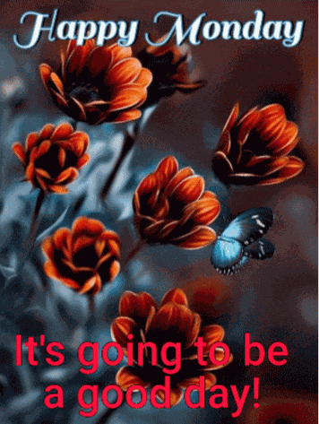 Happy Monday GIF