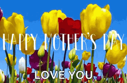 Happy Mothers Day GIF