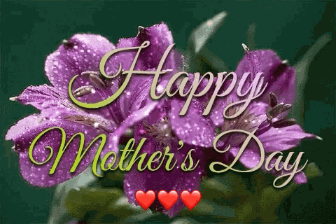 Happy Mothers Day Flowers GIF
