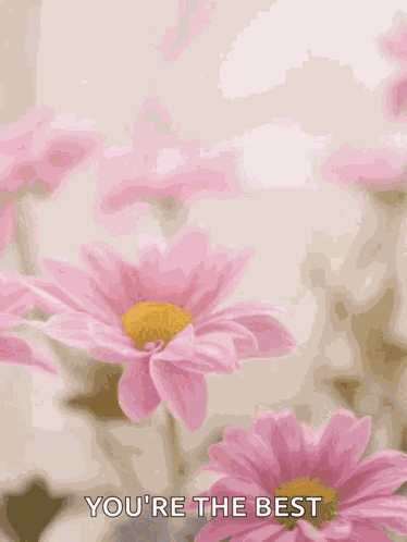 Happy Mothers Day Happy Mothers Day2022 GIF
