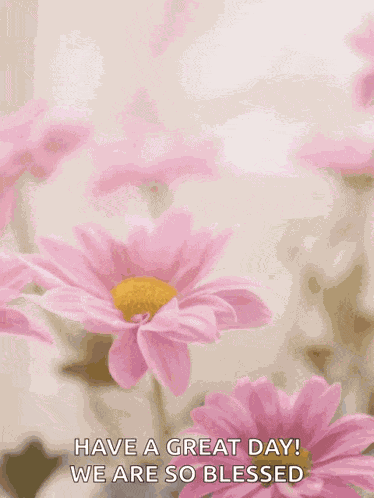 Happy Mothers Day Happy Mothers Day2022 GIF