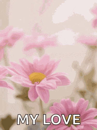 Happy Mothers Day Happy Mothers Day2022 GIF