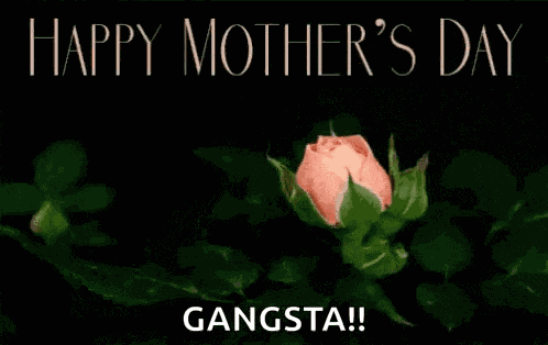 Happy Mothers Day Mom Day GIF