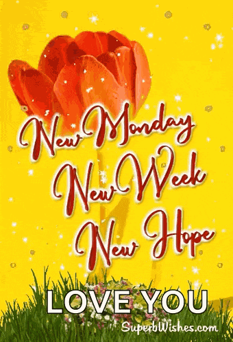 Happy New Week GIF