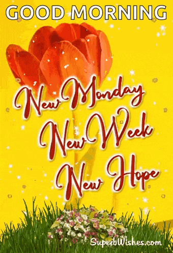 Happy New Week GIF
