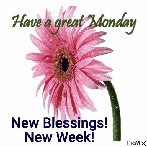 Happy New Week GIF