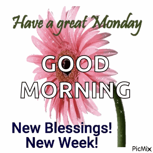Happy New Week GIF