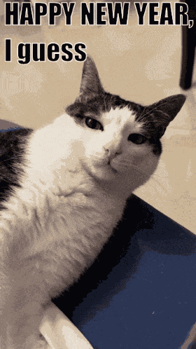 Happy New Year How Time Flies GIF