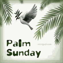 Happy Psalm Sunday GIF