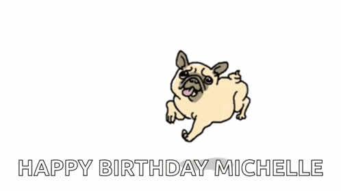 Happy Pug Excited Pug GIF