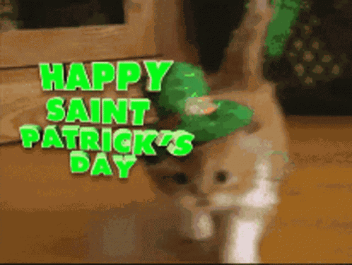 Happy Saint Patricks Day Cat GIF