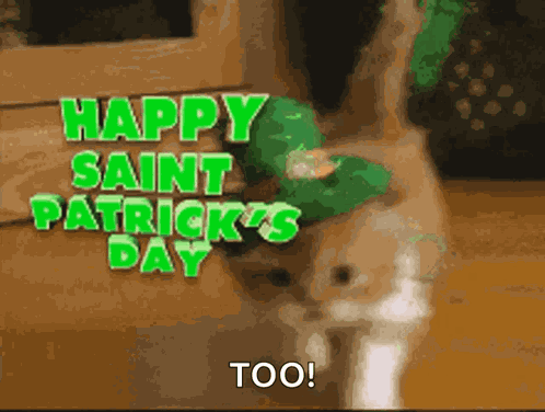 Happy Saint Patricks Day Cat GIF