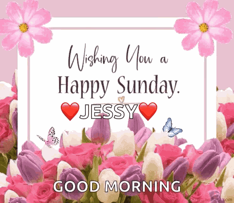Happy Sunday GIF