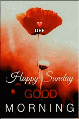 Happy Sunday Flower GIF