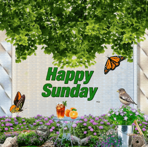 Happy Sunday GIF