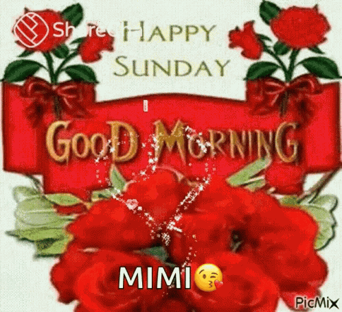 Happy Sunday GIF