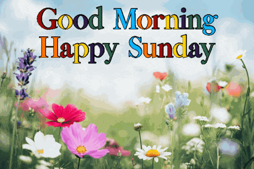 Happy Sunday Good Morning Happy Sunday GIF