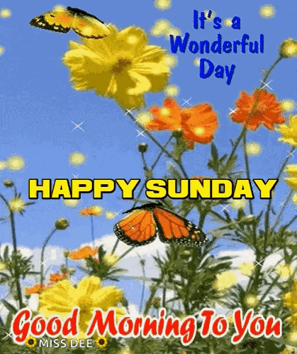 Happy Sunday Good Morning GIF