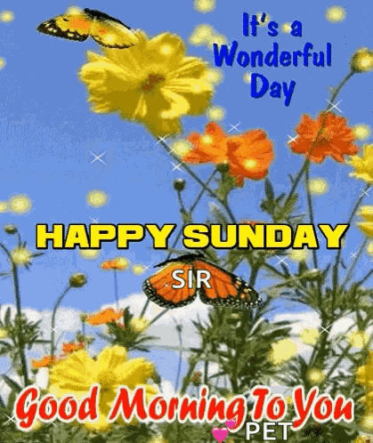 Happy Sunday Good Morning GIF