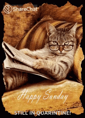 Happy Sunday Have A Great Weekend GIF